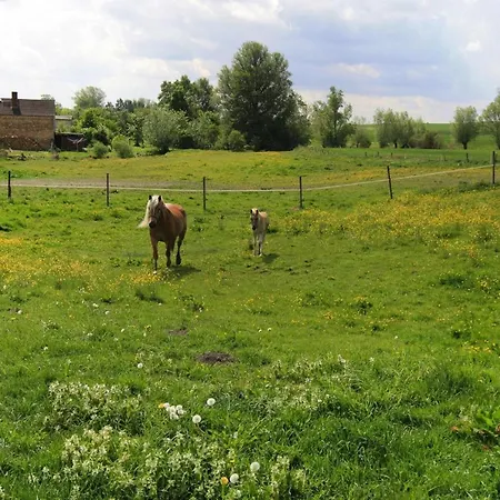 Casa vacanze Ferienhaus, Zahrensdorf