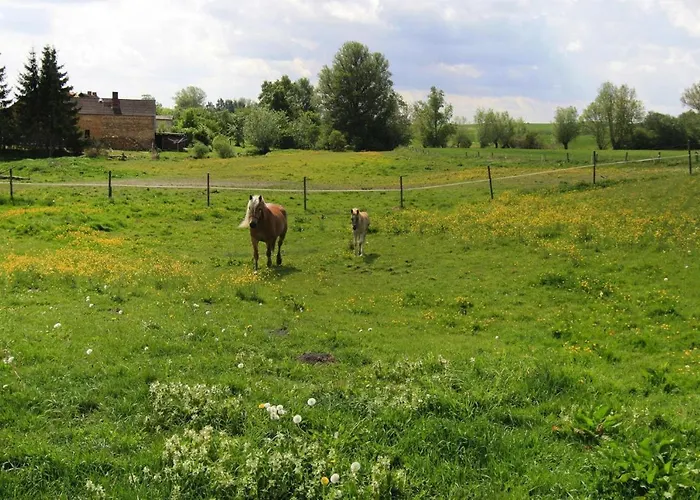 Holiday home Ferienhaus, Zahrensdorf